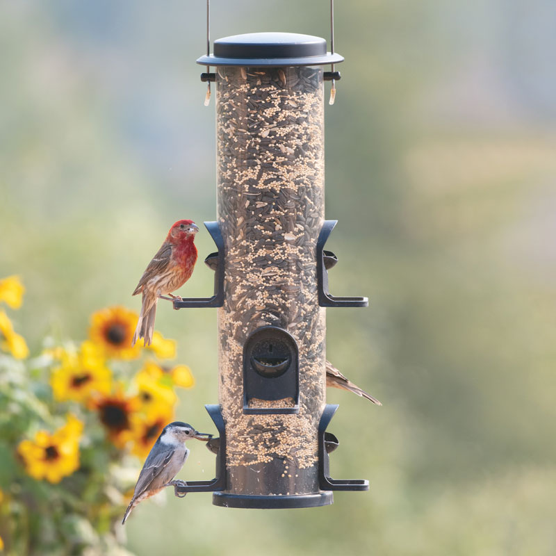 Perky-Pet® Goldfinch Plastic 2-in-1 Tube Bird Feeder