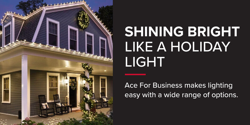Holiday Lighting