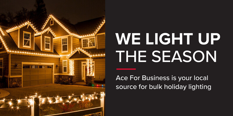 Holiday Lighting