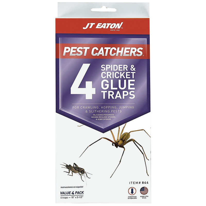  JT Eaton™ Pest Catchers Spider & Cricket Glue Traps, 4 Pk.