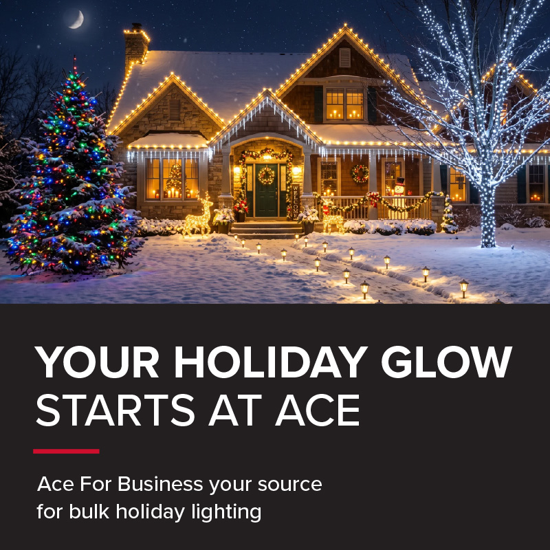 Holiday Lighting