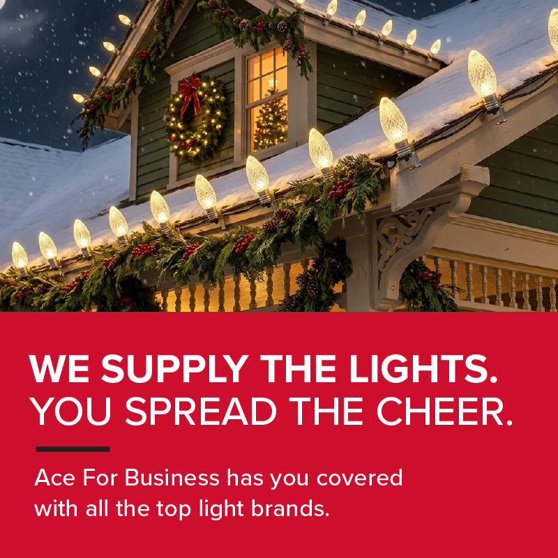 Holiday Lighting