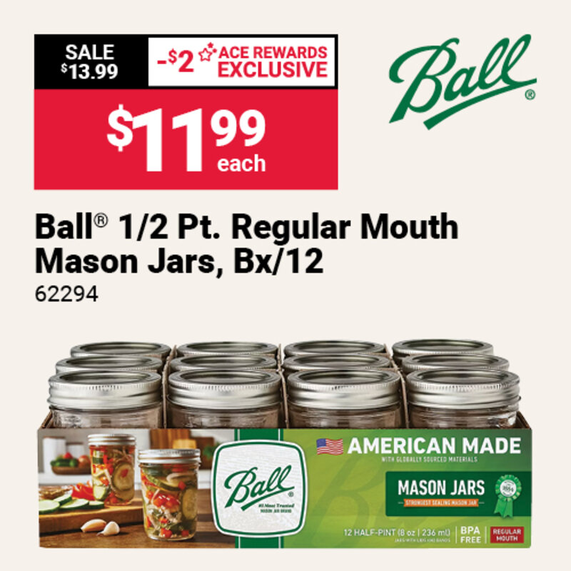 Ball® 1/2 Pt. Regular Mouth Mason Jars, Bx/12
