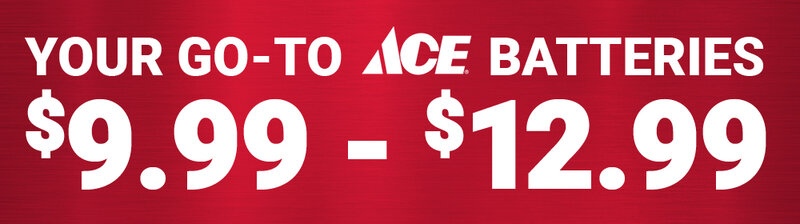 ACE® AA Batteries, 16 Pk.
