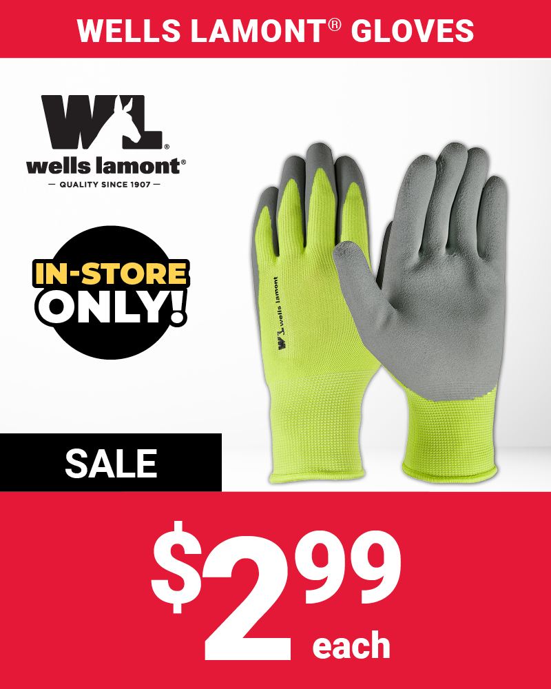 Featured Item of the Month