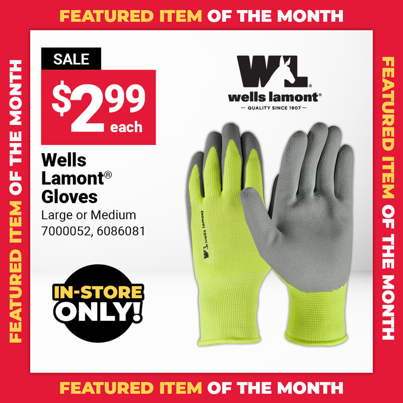 Featured Item of the Month
