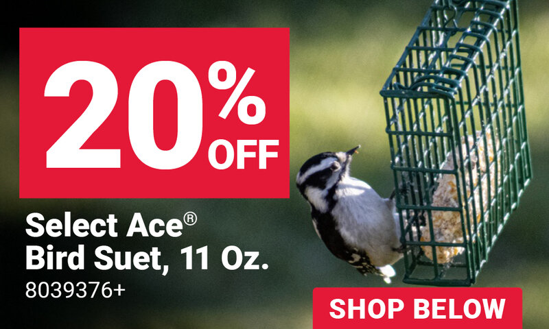 Ace® Suet