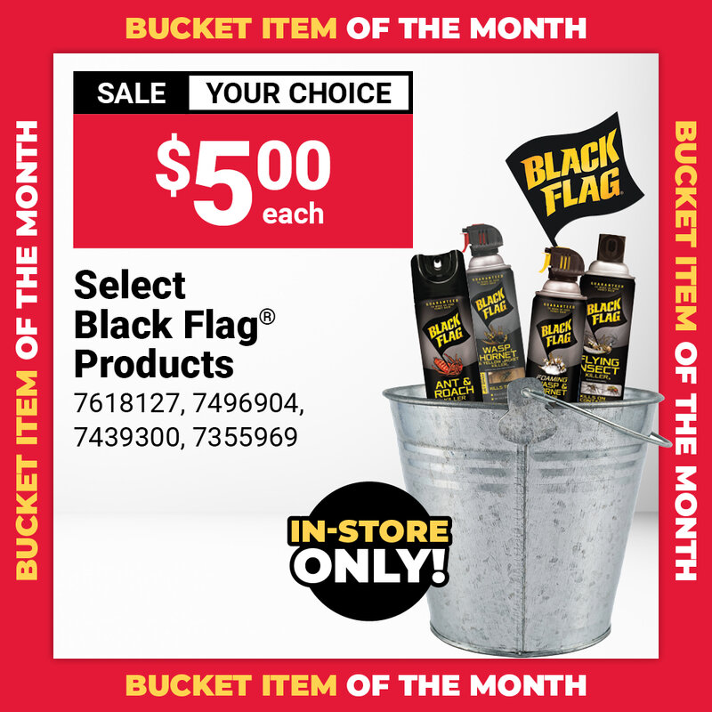 Bucket Item of the Month